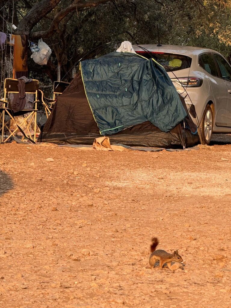 cengizin yeri kamp alani 4