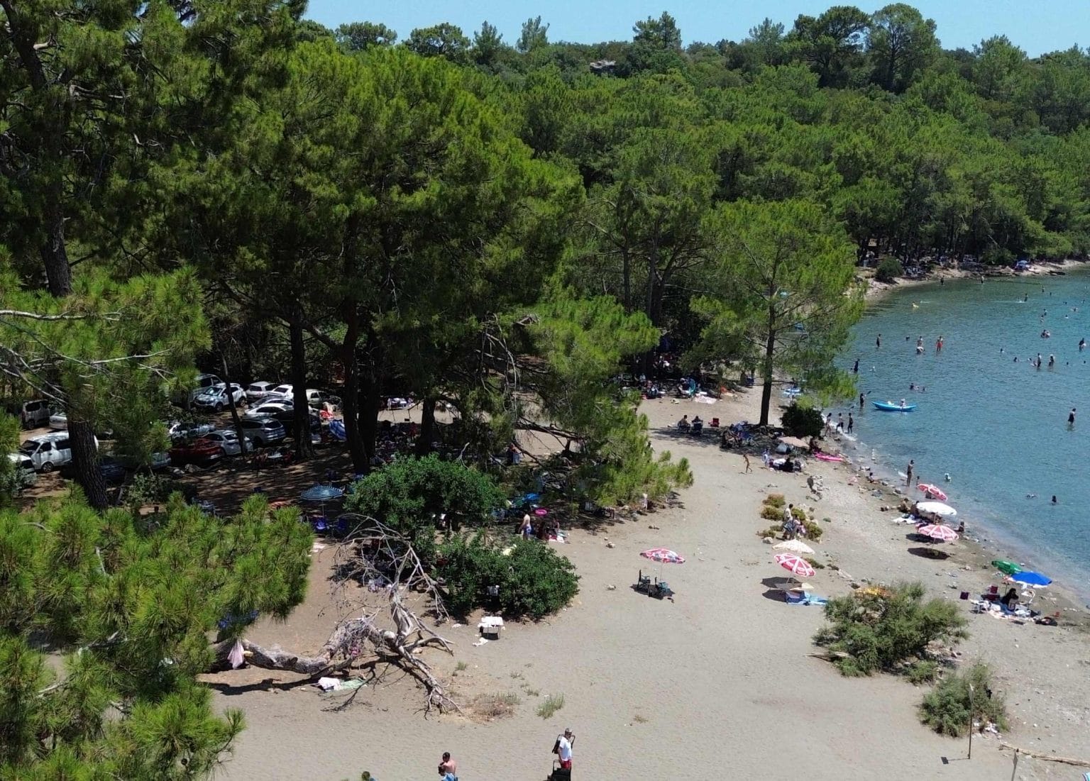 Phaselis Ancient City & Phaselis Bay phaselis koyu 1